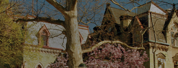 Panoramic shot of the upper part of College Hall on a sunny day. There are trees in the foreground and blue skies.